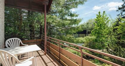 Holiday Apartment 'No. 7' with Mountain View and Balcony; additional dogs upon request