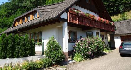 Apartment 'Mühlengrün' with Mountain View, Balcony and Wi-Fi
