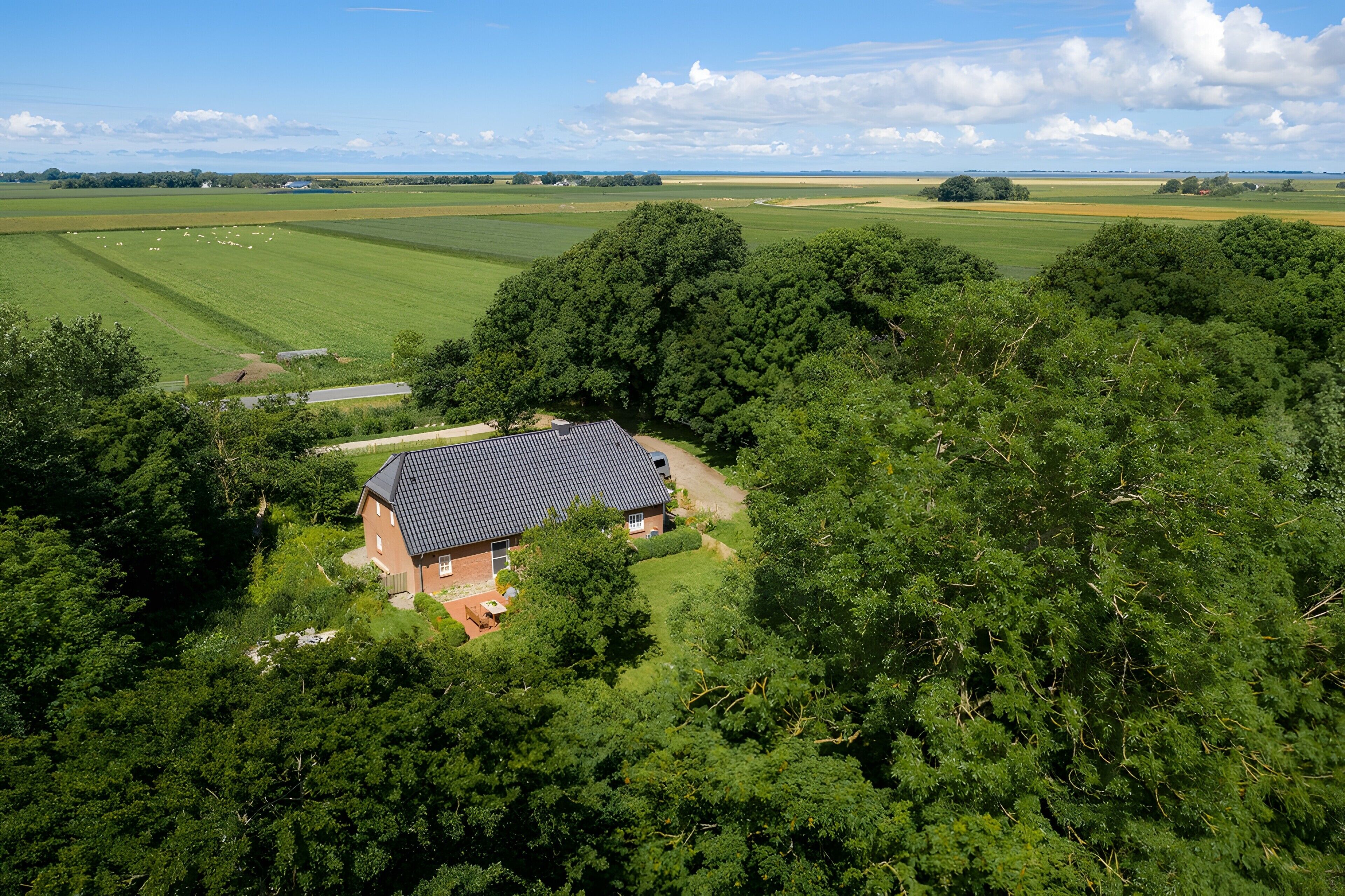 Ein Haus, umgeben von dichtem Wald und Feldern.