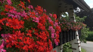 Een gebouw met een overdekte veranda, omringd door weelderige begroeiing en bloeiende planten.