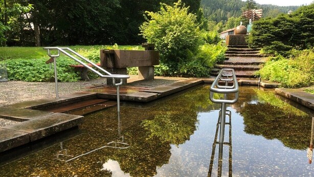 Een rustig zwembad met een terras en traptreden, omgeven door weelderige beplanting.