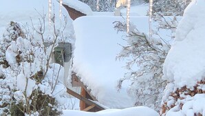 A snow-covered outdoor area with a wooden staircase leading up to a building. - Apartment 'Kaltenbach' with Balcony and Wi-Fi (Enzklösterle)