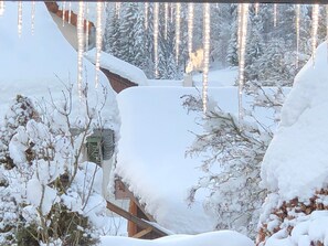 Property grounds - Apartment 'Kaltenbach' with Balcony and Wi-Fi (Enzklösterle)