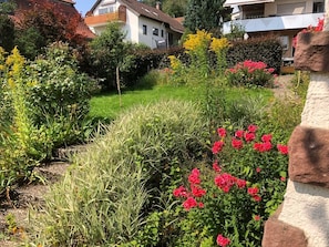 Ein Garten mit verschiedenen Pflanzen und Blumen, eine Steinmauer und Häuser im Hintergrund.