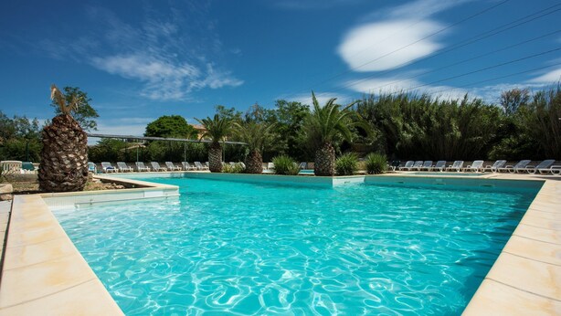 Une piscine rectangulaire à l’eau d’un bleu cristallin, entourée de chaises longues et de palmiers.
