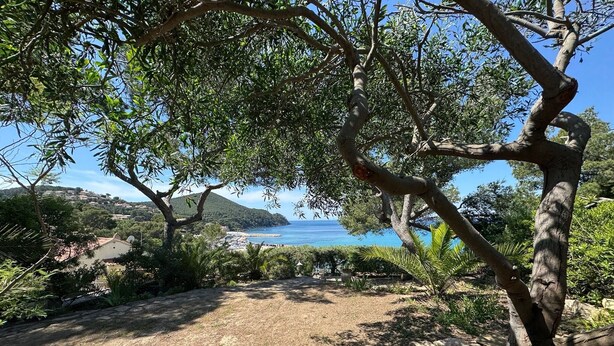 A coastal landscape with a dirt path leading to a beach, surrounded by trees and vegetation. - Le Paradis Marin (Saint-Cyr-sur-Mer)