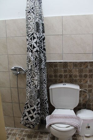 Hair dryer, towels, soap, toilet paper