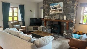 Smart TV, fireplace, DVD player, books