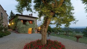 A stone house with ivy-covered walls, a gravel driveway, and a tree with red flowers.
