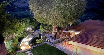 Villa With Terrace Overlooking the Sea