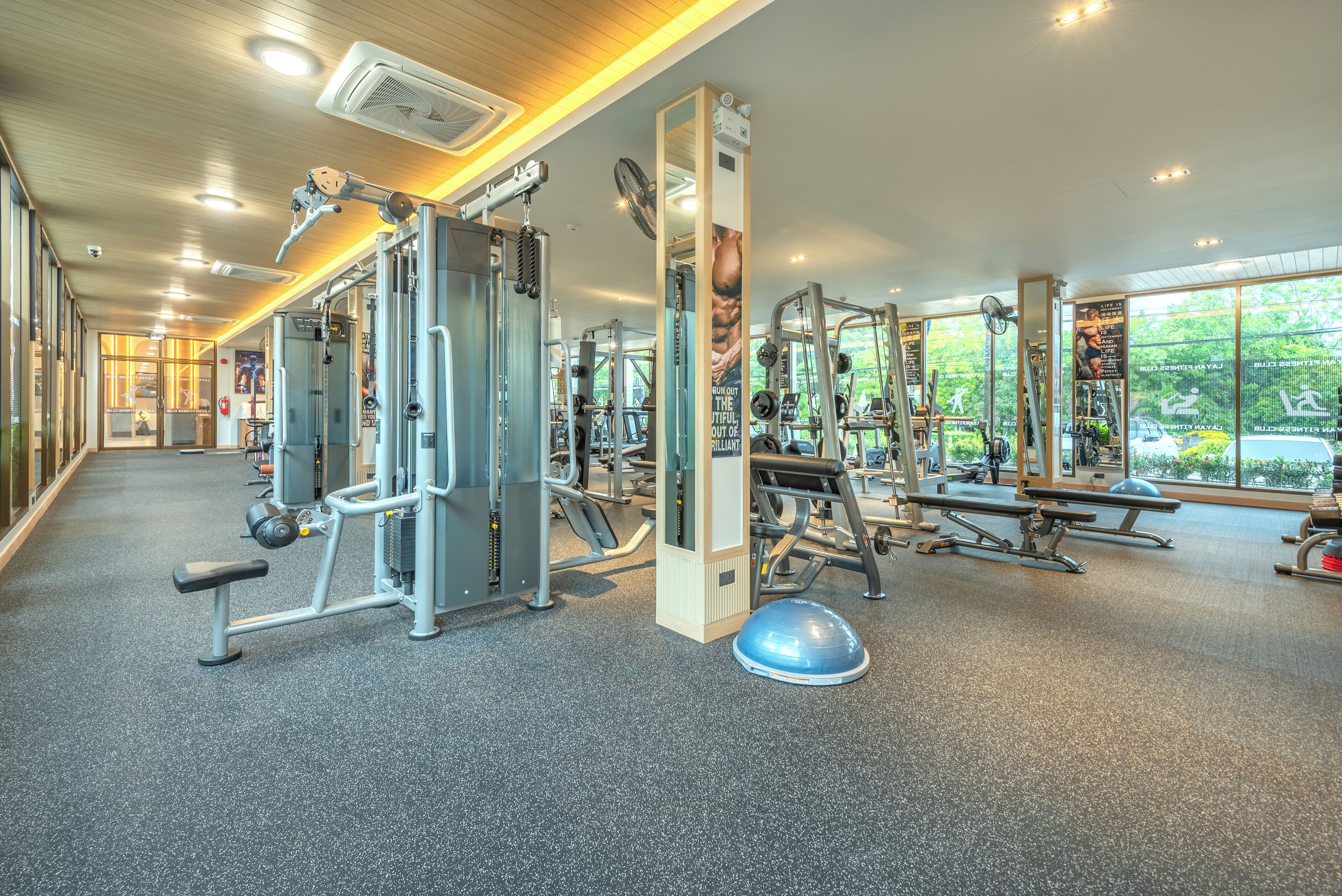 A gym with various exercise machines, a blue exercise ball, and large windows offering a view of greenery.