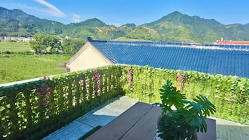 Rooftop terrace