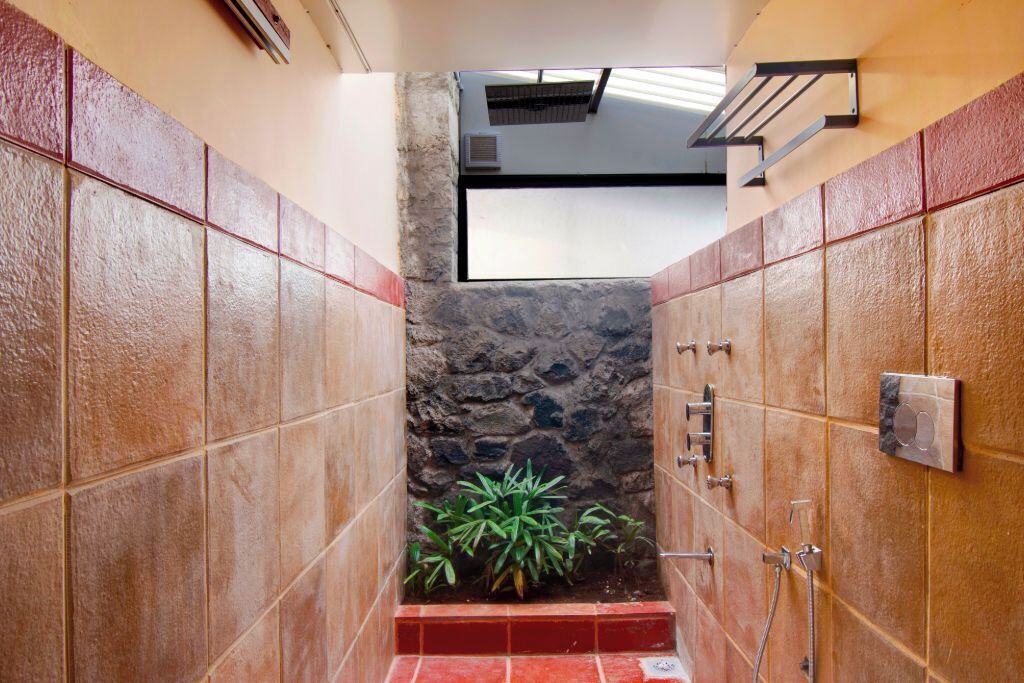 A narrow bathroom with stone walls, a small plant, and a shower area.