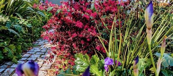 Mondego Riverside Lodge w/Private Beach. Pet-friendly!