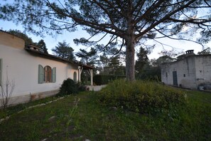 Property grounds - Villa Cardinale  in Salento with pinewood and swimming pool. Puglia. (Puglia)