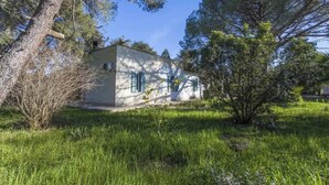 A small, single-story building with a flat roof, surrounded by lush greenery and trees. - Villa Cardinale  in Salento with pinewood and swimming pool. Puglia. (Puglia)
