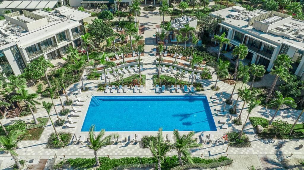 A large pool surrounded by palm trees and lounge chairs, with modern buildings in the background.
