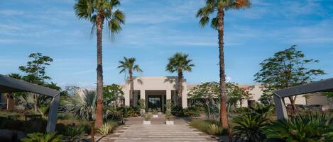 A pathway leading to a building with palm trees on either side.