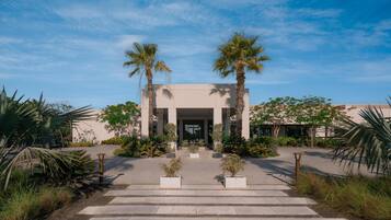 A building with a symmetrical facade, palm trees, and a paved entrance with steps leading to a door.
