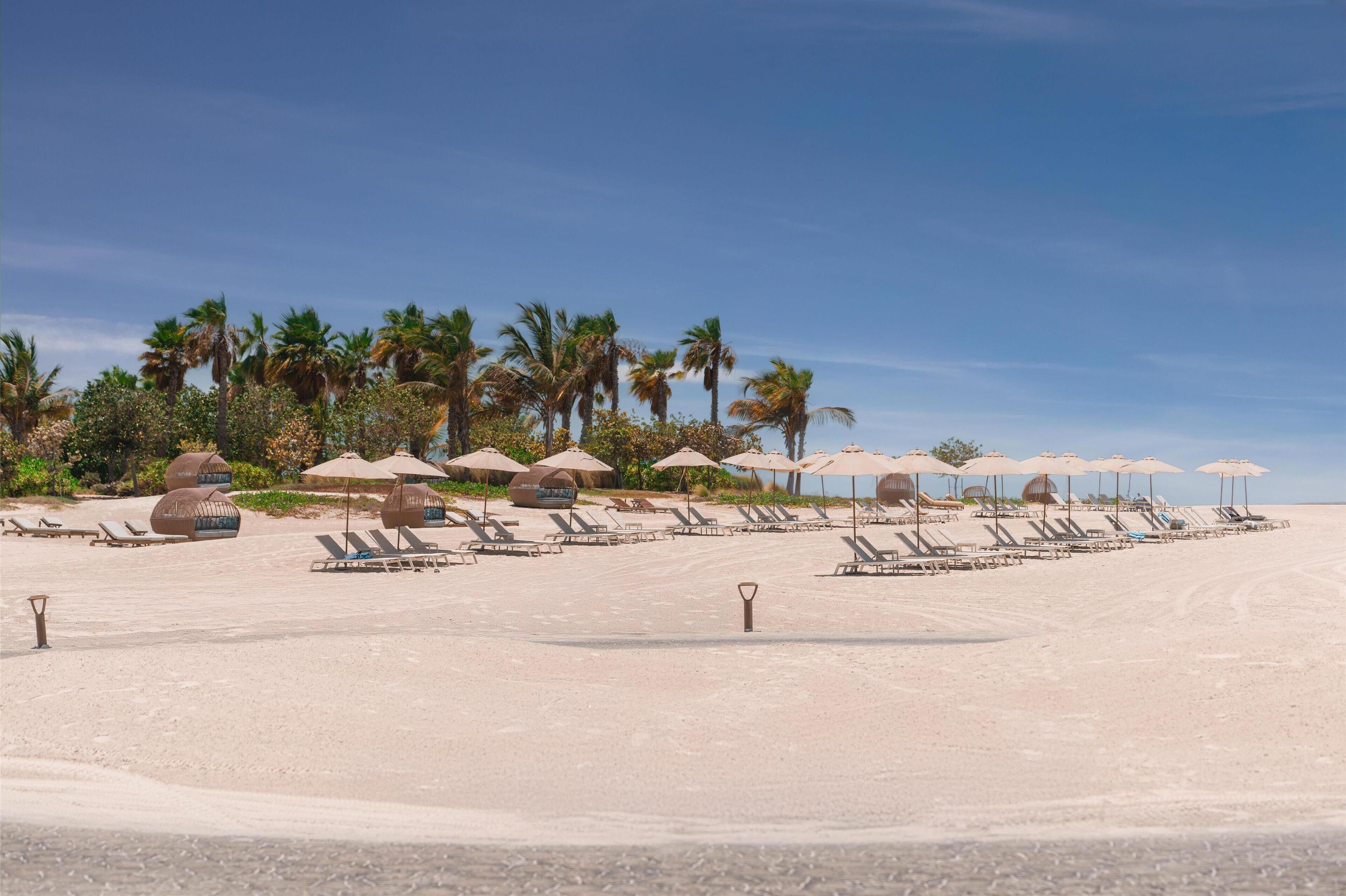 A beach with rows of sun loungers and umbrellas, palm trees, and a clear sky.