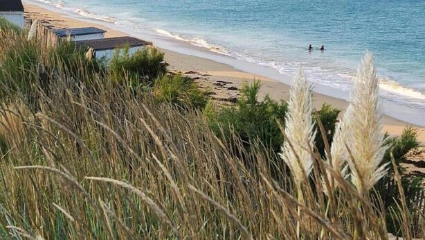 Ein Strand mit freiem Blick auf den Ozean, einem sandigen Ufer und etwas Vegetation im Vordergrund.