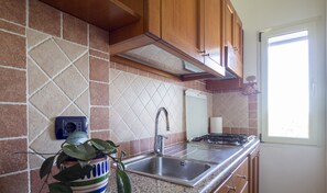 Fridge, oven, stovetop, cookware/dishes/utensils