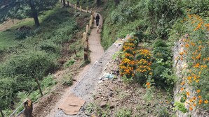 Un sentier étroit et pavé, bordé d’une végétation luxuriante et de fleurs orange, qui monte en pente.