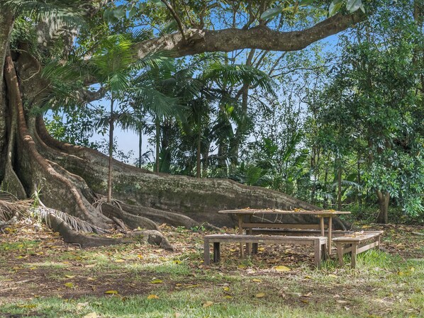 Sit beneath the sprawling ancient tree, surrounded by lush greenery and a tranquil atmosphere.