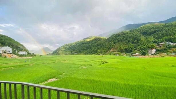 A lush green landscape with terraced fields and a mountain backdrop. - Ha Chau Homestay (Mu Cang Chai)