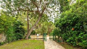 Un sendero de piedra serpentea por un jardín exuberante, con follaje denso y una verja verde.