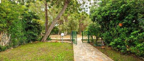 Un sendero de piedra serpentea por un jardín exuberante, con follaje denso y una verja verde.