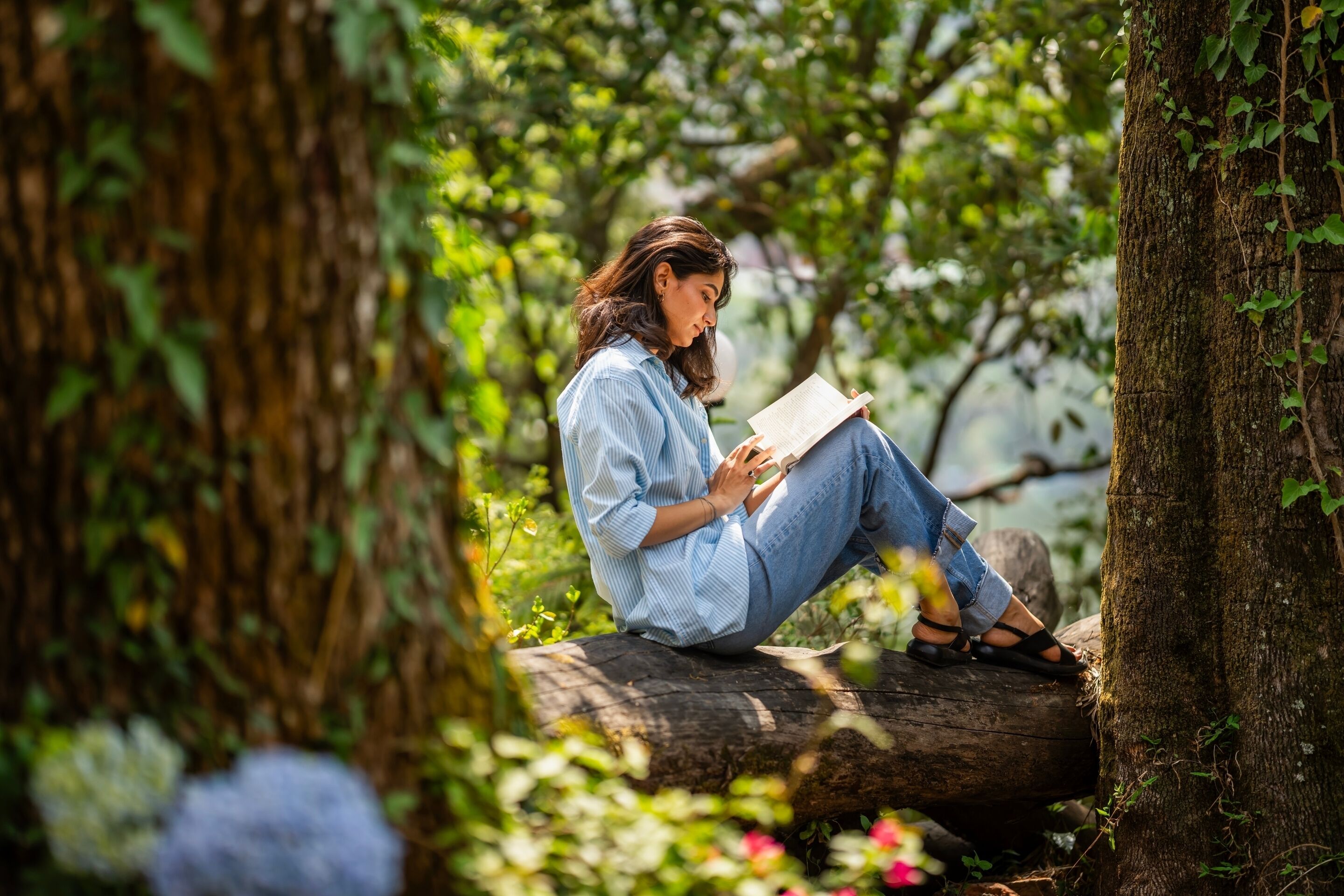 A person sitting on a log in a forested area, reading a book.