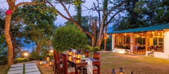 무스타쉬 셀렉트 나우쿠치아탈