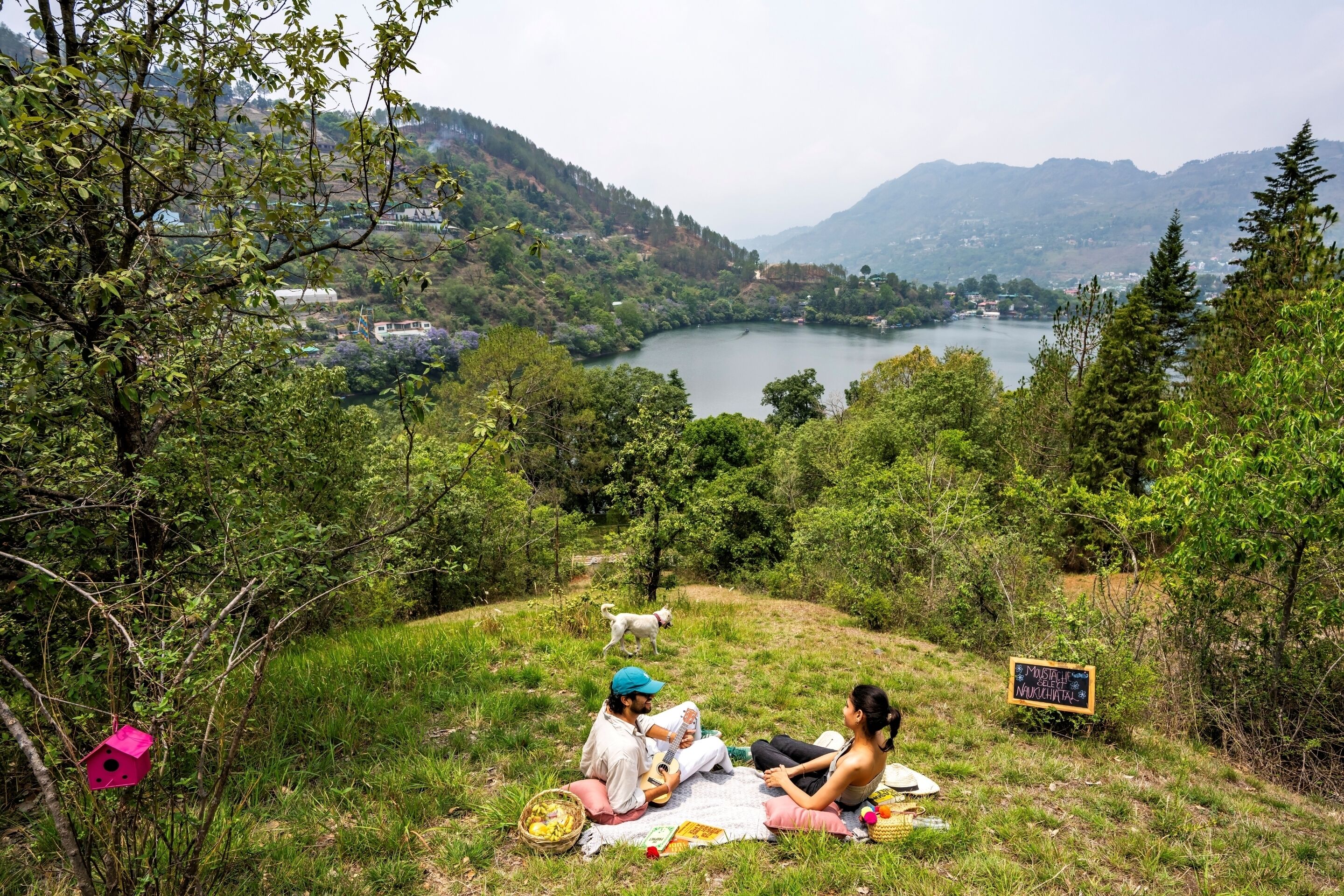 Un grupo de personas sentadas sobre una manta en una zona cubierta de hierba, con un lago y montañas al fondo.