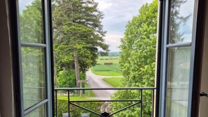 A window with a view of a green landscape, a road, and a fence. - Le Tilleul de Ray (Ray-sur-Saone)