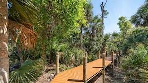 Une promenade en bois qui traverse un jardin tropical, où l’on peut admirer différentes espèces d’arbres et de plantes.