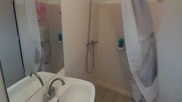 Shower, hair dryer, toilet paper