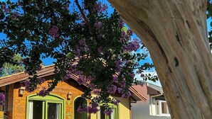A wooden house with a paved driveway and a tree with purple flowers.
