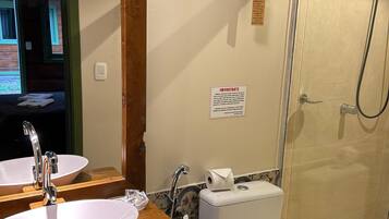 Twin Room | Bathroom | Shower, hair dryer, bidet, towels