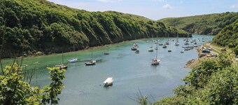 Arfryn