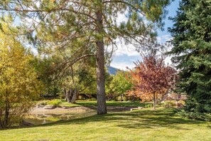 A park with a variety of trees, a grassy area, and a small body of water.