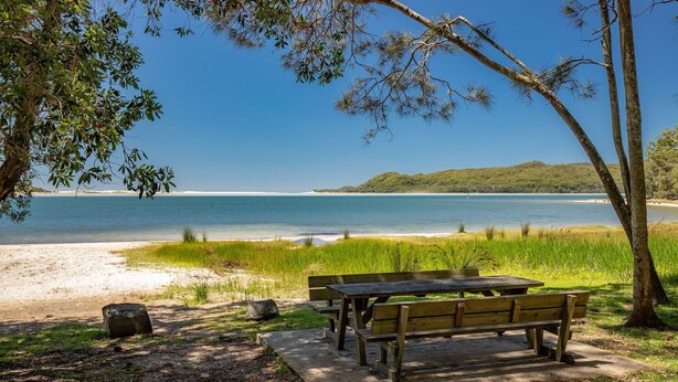 Una playa con una mesa de picnic de madera y bancos, rodeada de árboles y zonas verdes.