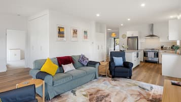 智能電視、壁爐