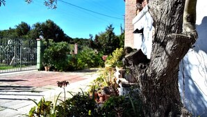 Un barrio residencial con un árbol en primer plano, un sendero de ladrillo y una verja metálica al fondo.