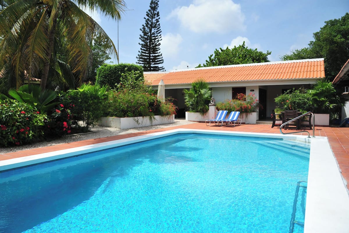 A swimming pool with two lounge chairs, surrounded by tropical plants and a building with a tiled roof.