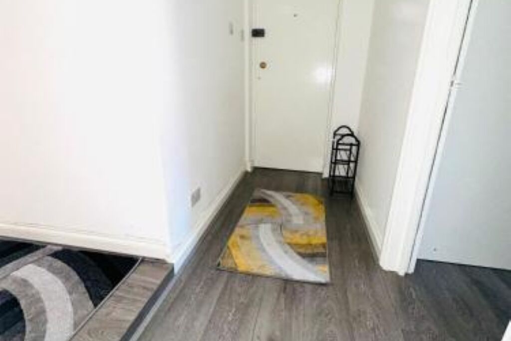 A hallway with a patterned rug, a door, and a small black object on the floor.