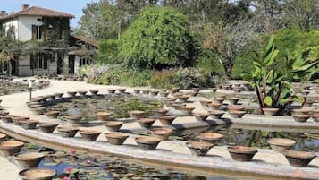 Área da propriedade