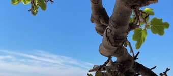 Spacious 2 bedroom, living room, 2 bathroom house BAYA, with outdoor terraces,