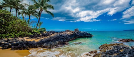 在海滩