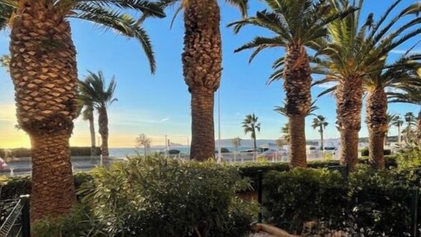 A rooftop terrace with palm trees, a hammock, and a view of the cityscape. - Large studio with sea view - Terrace & private parking (Saint-Cyr-sur-Mer)